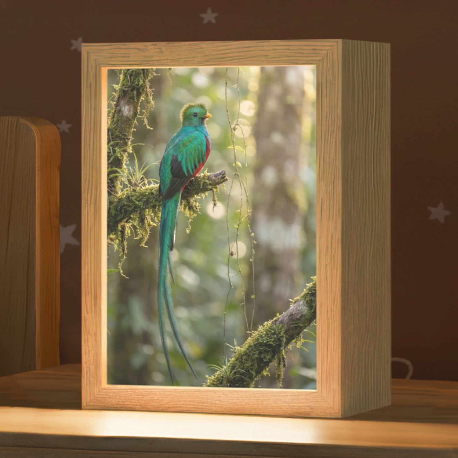 Quetzal - Jungle - Natuur - Groen Light Box met kabel (Kinderlampje) klein -zzz_3d_website