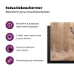 Buizerd - Roofvogel - Natuur - Bruin Inductie beschermer vinyl 3mm klein -zzzzzzz-cc-usp