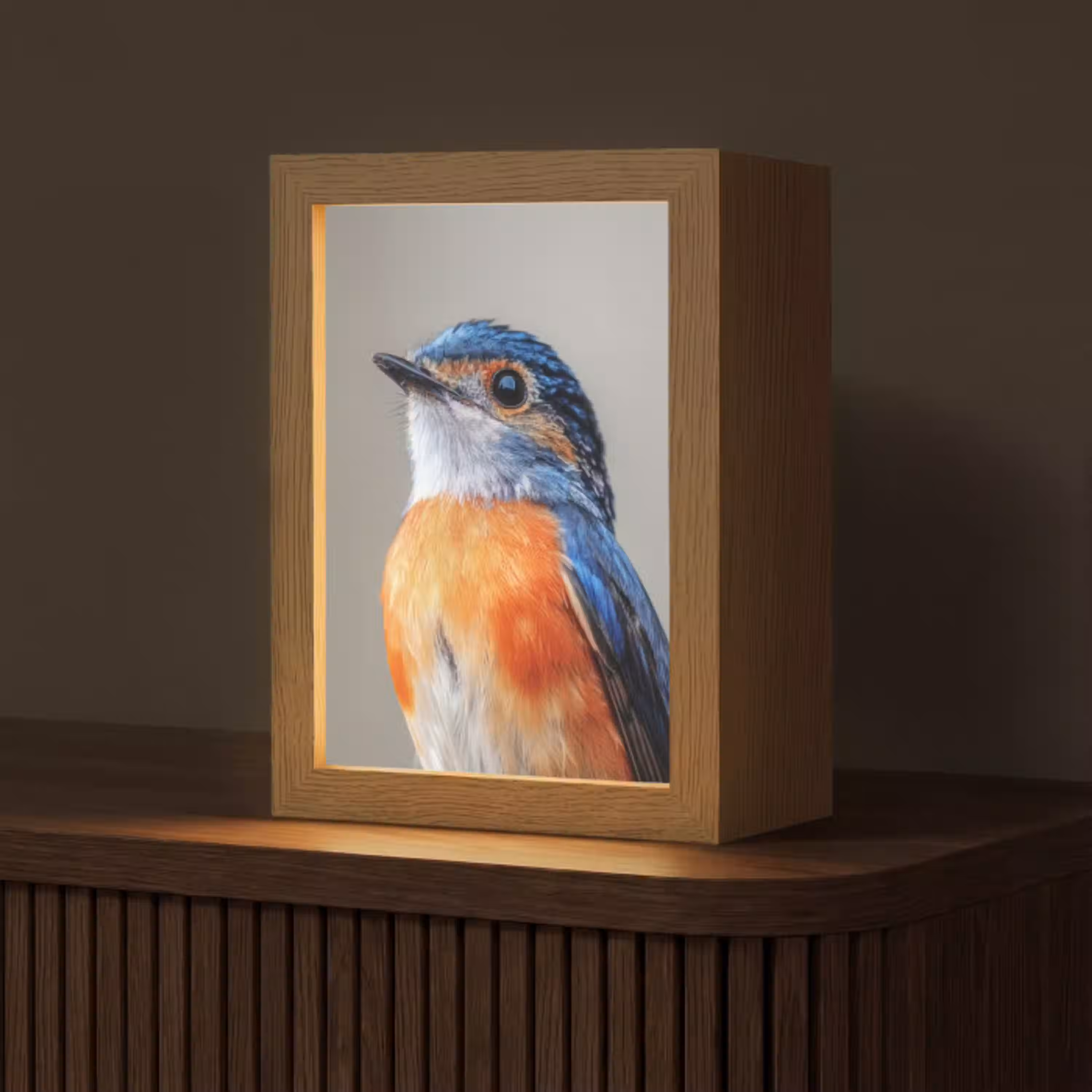 Kleurrijk - Vogeltje - Veren - Blauw Light Box met kabel (Tafellamp) klein -z3d_website