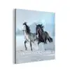 Paarden - Winter - Dieren - Natuur - Sneeuw aluminium wit klein -3d
