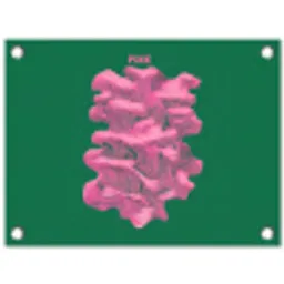 Abstract - Pink - Lijnen - Groen tuinposter los doek klein -3d