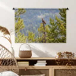 Uil - Oehoe - Bomen - Natuur Wandkleed katoen middel -sfeer5
