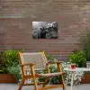 Schotse hooglander - Kalf - Zwart - Wit Tuinposter op houten frame 2 cm dik klein -sfeer3