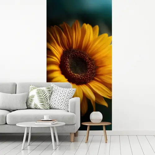 Geel - Zonnebloem - Zomers fotobehang vinyl groot -woonkamer