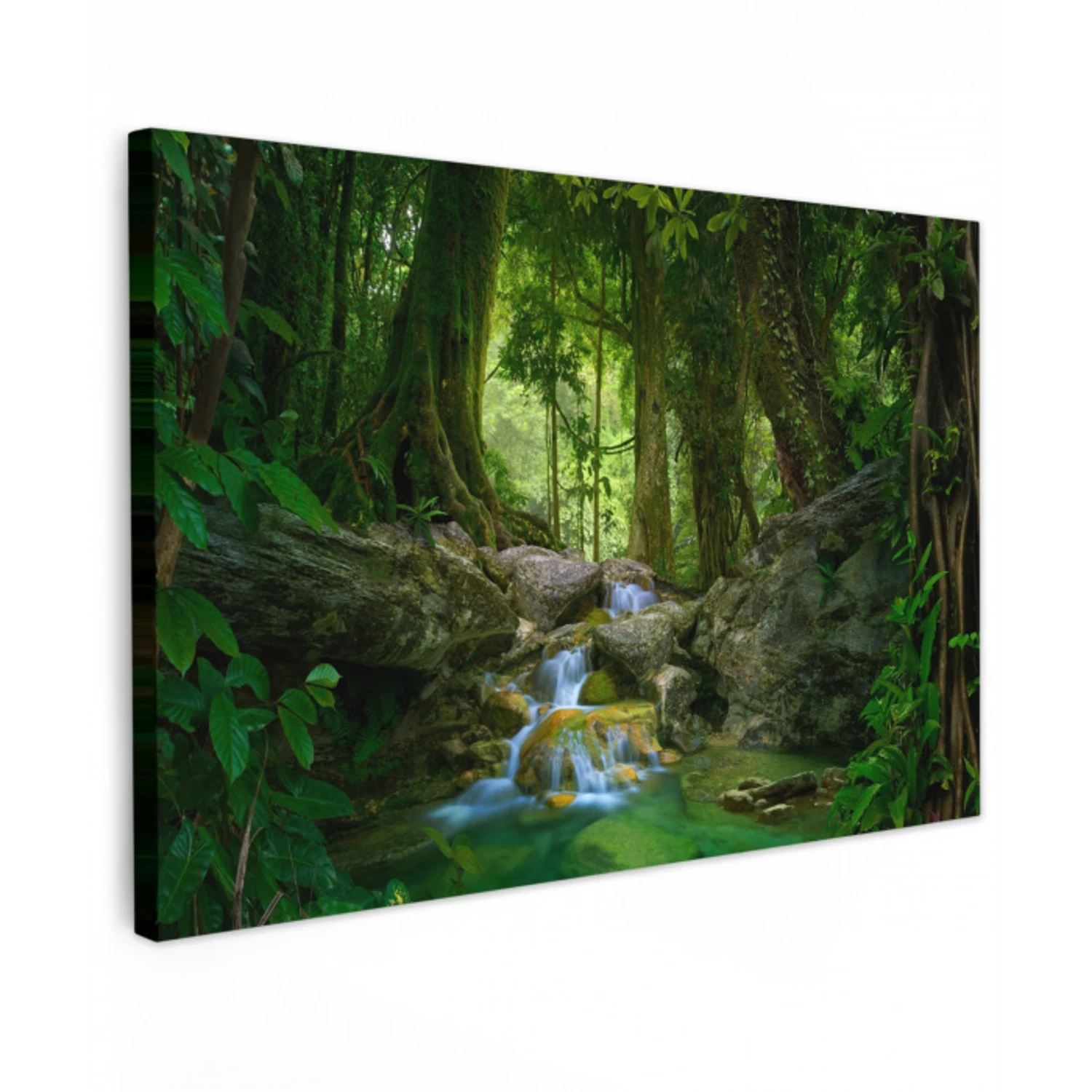Jungle - Stenen - Water - Natuur - Planten canvas 2cm klein -z3d