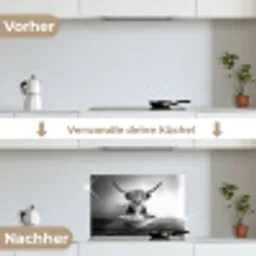 Schotse Hooglander - Spaghetti - Dieren - Zwart wit keuken achterwand spatscherm klein -voor_na_DE