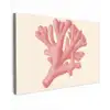 Koraal - Stipjes - Roze canvas 2cm klein -z3d
