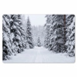 Bos - Winter - Sneeuw - Pad - Natuur Placemat vinyl groot -zzsfeer1_Kitchenyeah-website