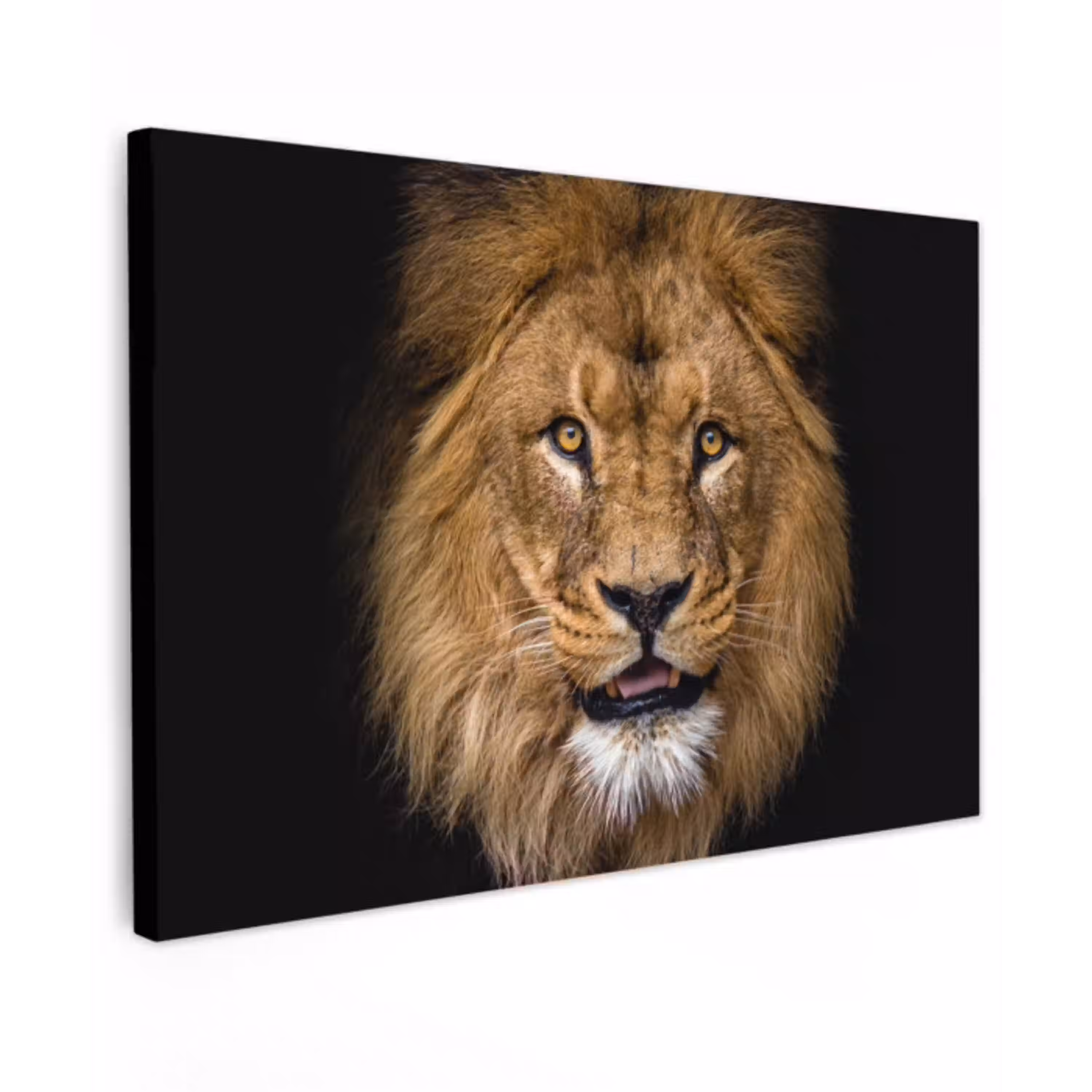 Leeuw - Portret - Zwart - Dieren Tuinposter op houten frame 2 cm dik klein -3d