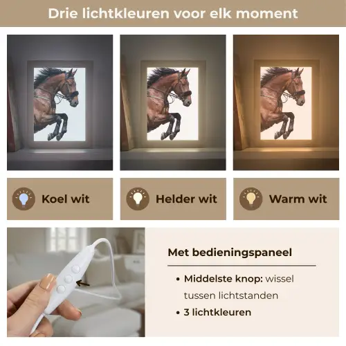 Paard - Springen - Modern Light Box met kabel (Tafellamp) klein -USP_lichtkleurNL