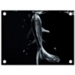 Koi - Vissen - Water - Zwart tuinposter los doek klein -3d