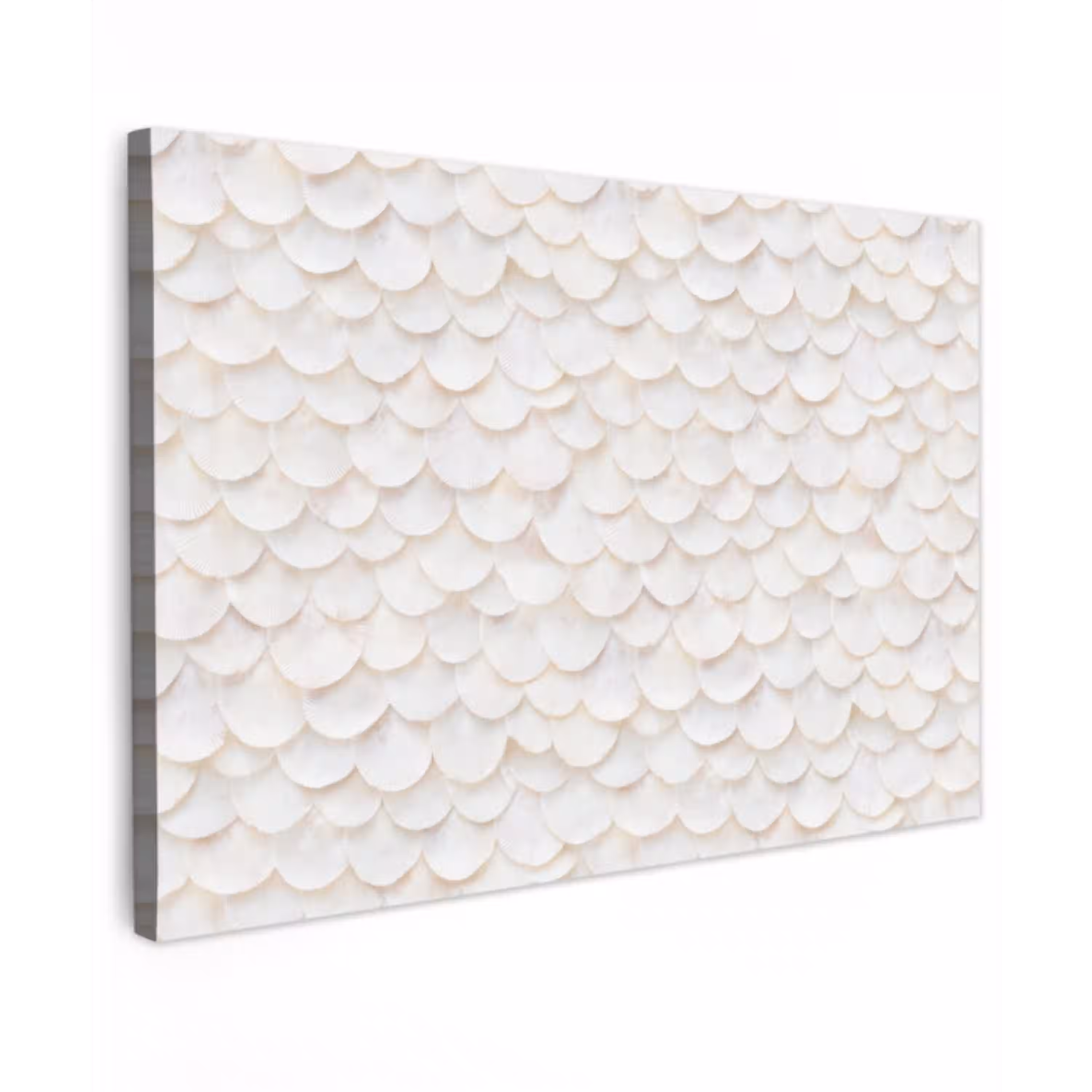 Schubben - Wit - Elegant Tuinposter op houten frame 2 cm dik klein 845 -3d