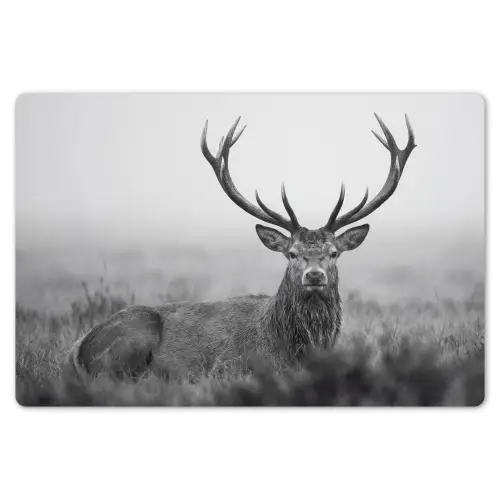Hert - Mistig - Zwart - Wit Placemat vinyl groot -zzsfeer1_Kitchenyeah-website