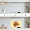 Strepen - Vis - Rond - Stekels keuken achterwand spatscherm klein -voor_na_NL