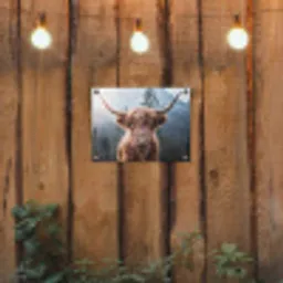 Hooglander van Dichtbij tuinposter los doek klein -sfeer1