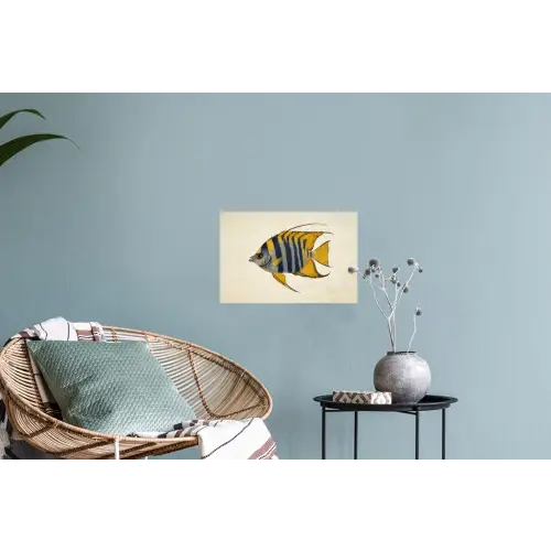Vis - Sierlijk - Vinnen - Illustratie Muursticker klein -plant