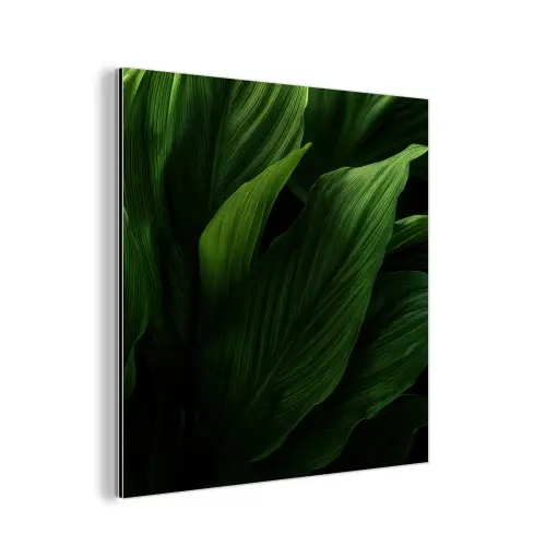 Bladeren - Schaduw - Groen - Textuur aluminium wit klein -3d