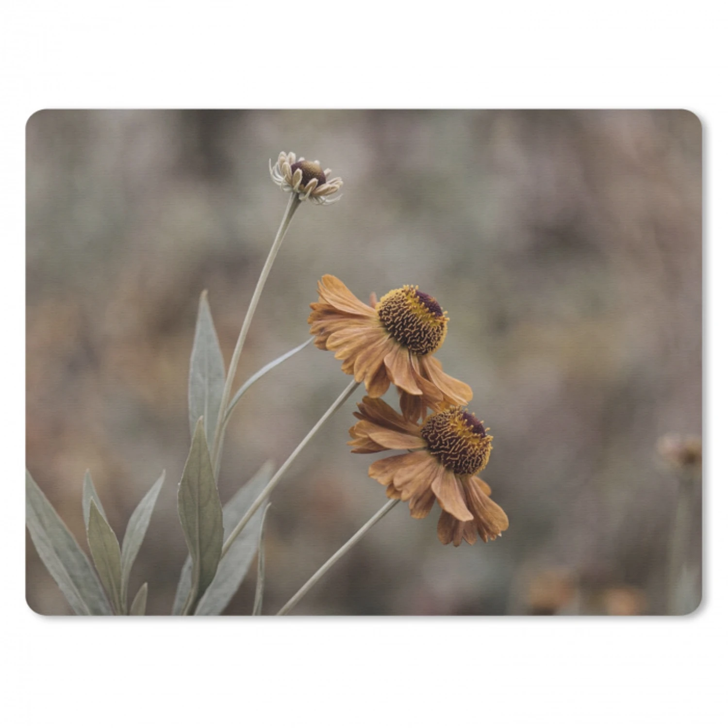Zonnehoed - Droogbloemen - Geel - Warm muismat rubber klein -3d