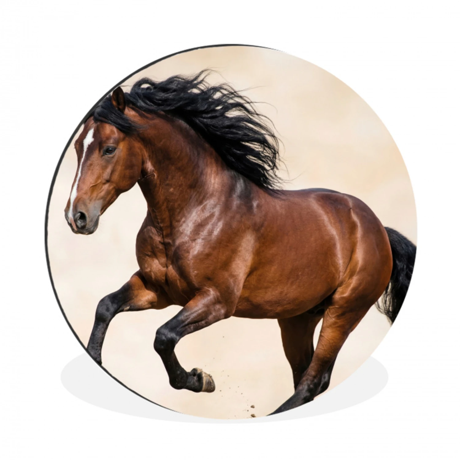 Paard - Galop - Energie Wandcirkel aluminium klein -3d