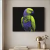 Papegaai - Veren - Opvallend - Groen Textielframe zwart klein -sfeer2