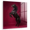 Hengst - Steigert - Rood plexiglas 5mm klein -zzzproduct_nieuw
