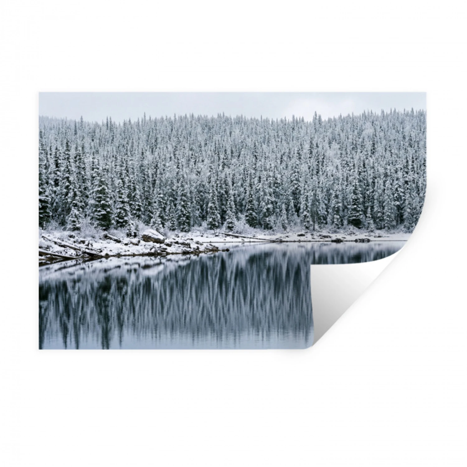 Bos - Reflectie - Meer - Winter - Serene Muursticker klein -3d