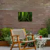 Jungle - Brug - Mos - Natuur - Tropisch Tuinposter op houten frame 2 cm dik klein -sfeer3