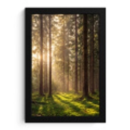Bos - Gras - Zonlicht fotolijst zwart zonder passe partout klein -3d