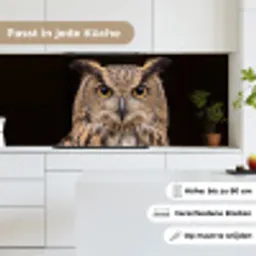Oehoe - Uil - Portret - Bruin keuken achterwand 2 middel -sfeer4_DE
