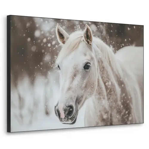 Paard - Wit - Winter - Natuur - Sneeuw - Dieren Textielframe zwart klein -3d