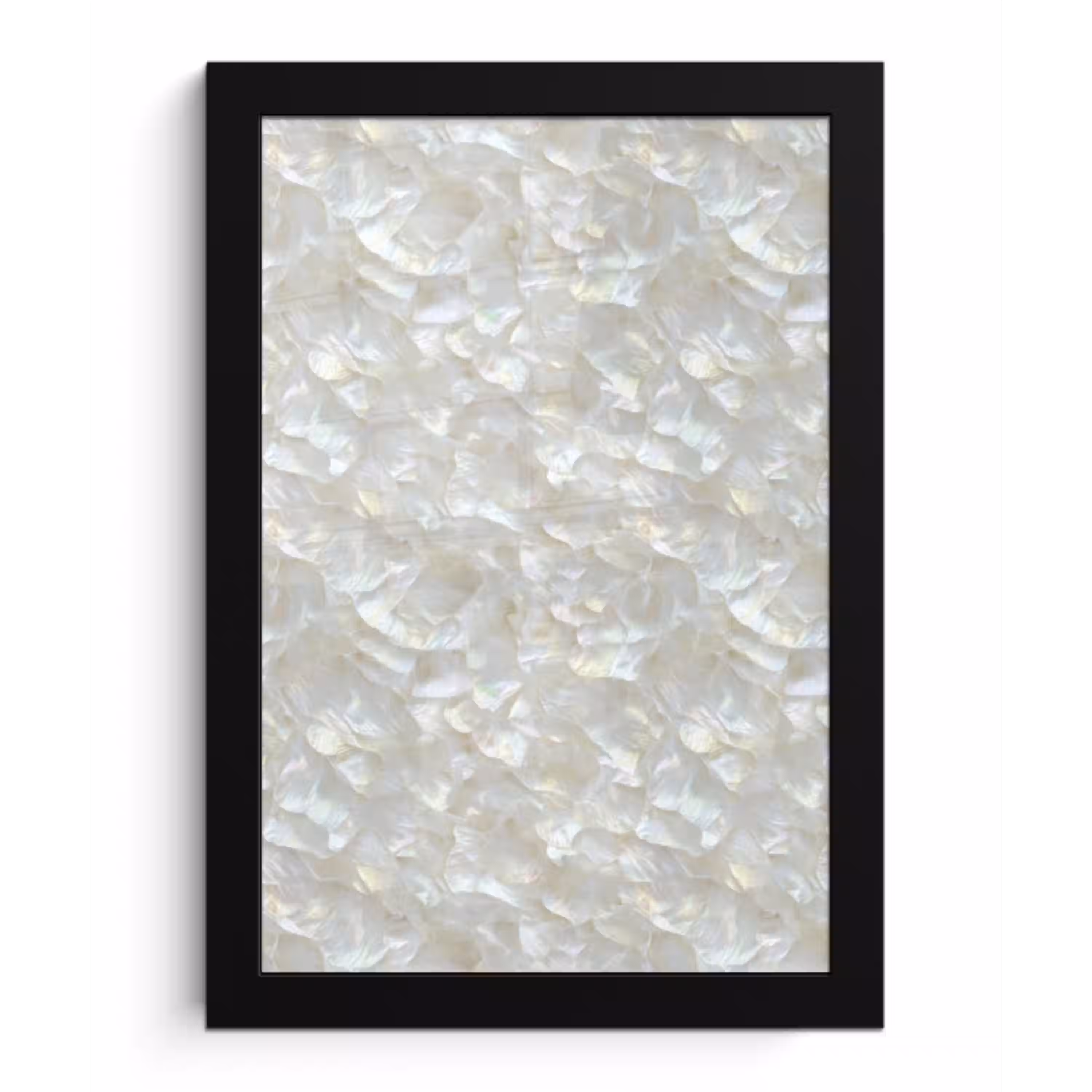 Parelmoerglans - Wit - Schelp fotolijst zwart zonder passe partout klein 224 -3d