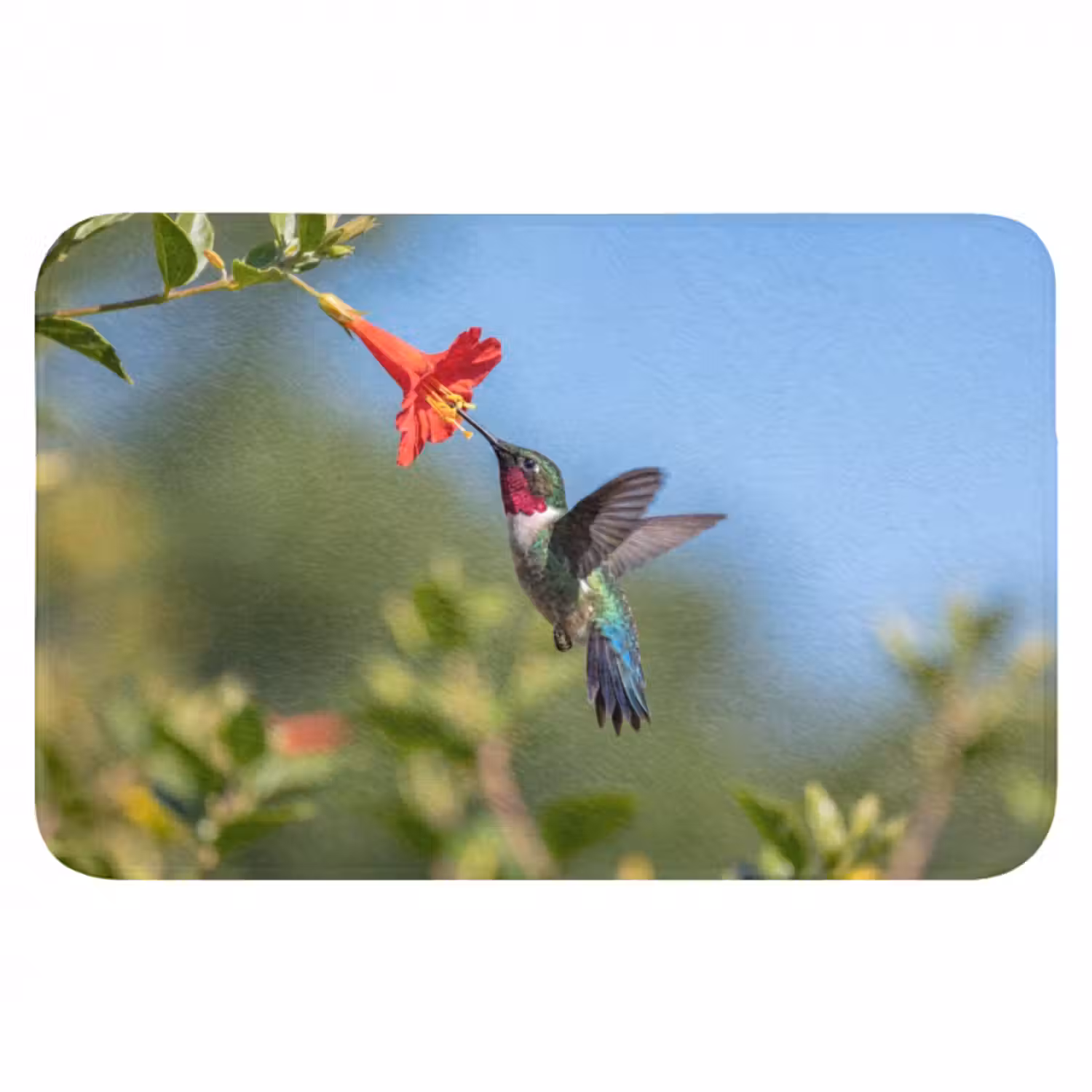 Badematte - Kolibri - Blume - Natur - Grün