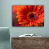Oranje - Gerbera - Intens canvas 2cm klein -sfeer4