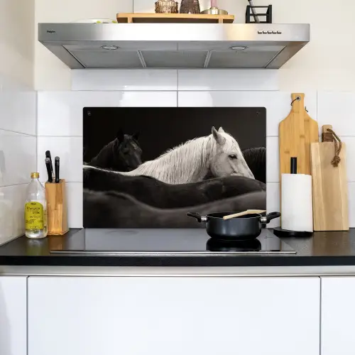 Paarden - Zwart - Wit - Kudde Inductie beschemer met haakjes klein -sfeer2