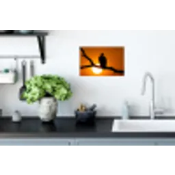 Gier - Tak - Zon - Oranje Muursticker klein -keuken