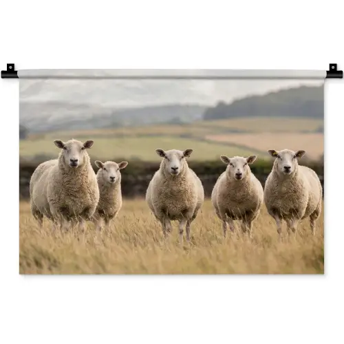 Schapen - Weidenlandschap - Heuvels Wandkleed katoen klein -zz3d