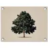 Eikenboom - Schaduw - Egaal tuinposter los doek klein -3d