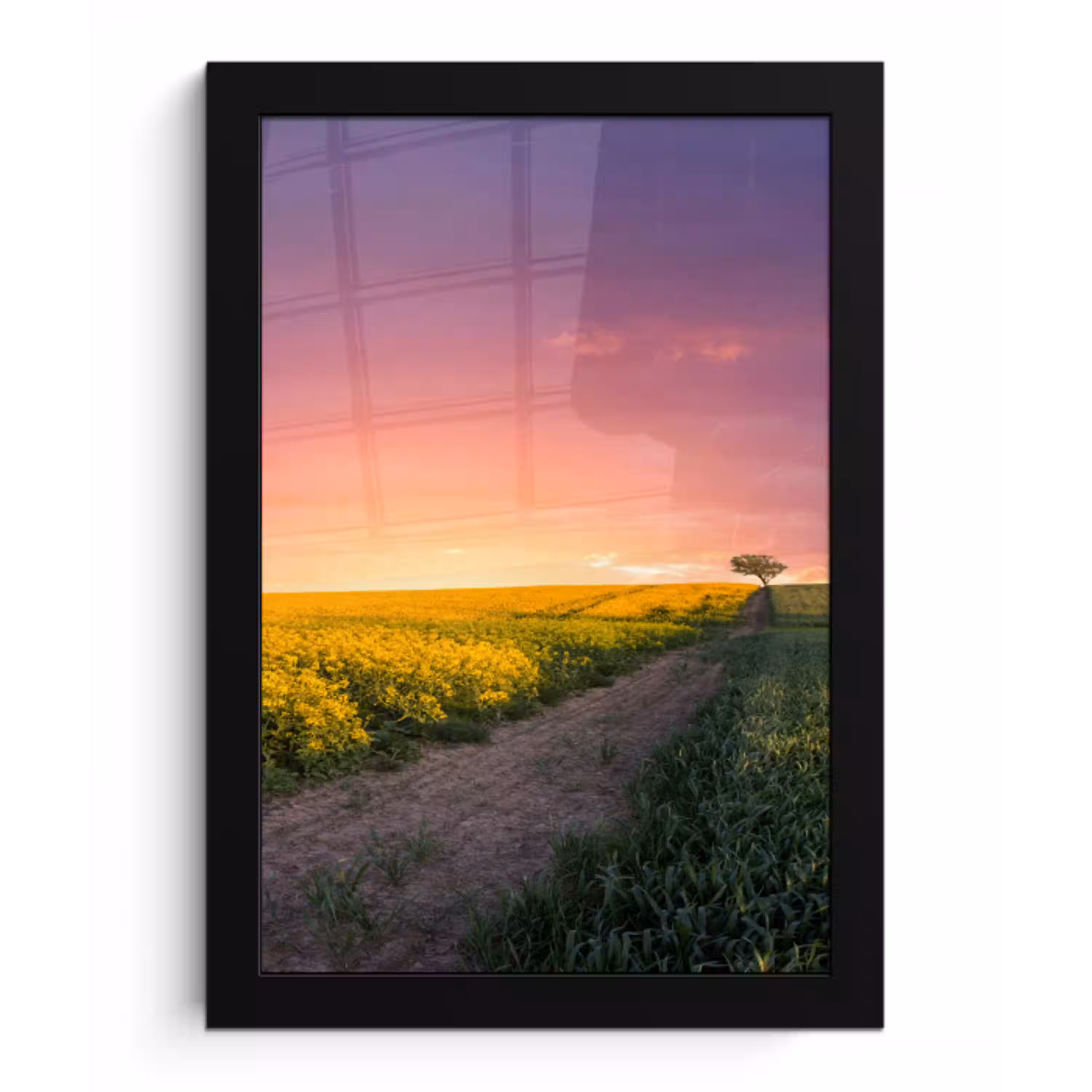 Bloemen - Weg - Lucht - Geel - Paars - Zonsondergang - Natuur fotolijst zwart zonder passe partout klein -3d