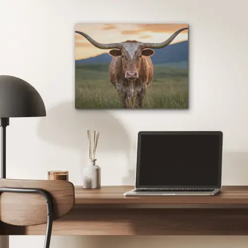 Longhorn - Landschap - Zonsondergang PET vilt klein -sfeer5