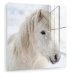 Paard - Kop - Winter - Dieren - Wit plexiglas 5mm klein -zzzproduct_nieuw