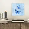 Vlinders - Sierlijk - Blauw plexiglas 5mm klein -sfeer1