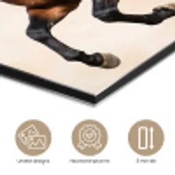 Paard - Galop - Energie aluminium wit klein -closeup_NL