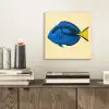 Blauw - Dory - Vis - Staartvin aluminium wit klein -sfeer1