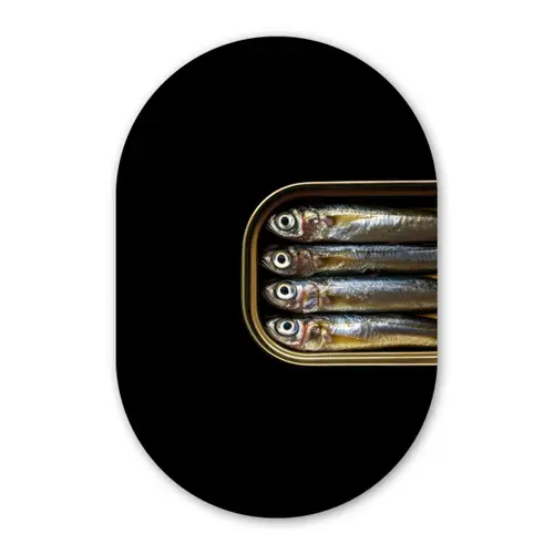 Sardines - Blik - Zwart - Vissen Wandcirkel Ovaal Forex klein -3d