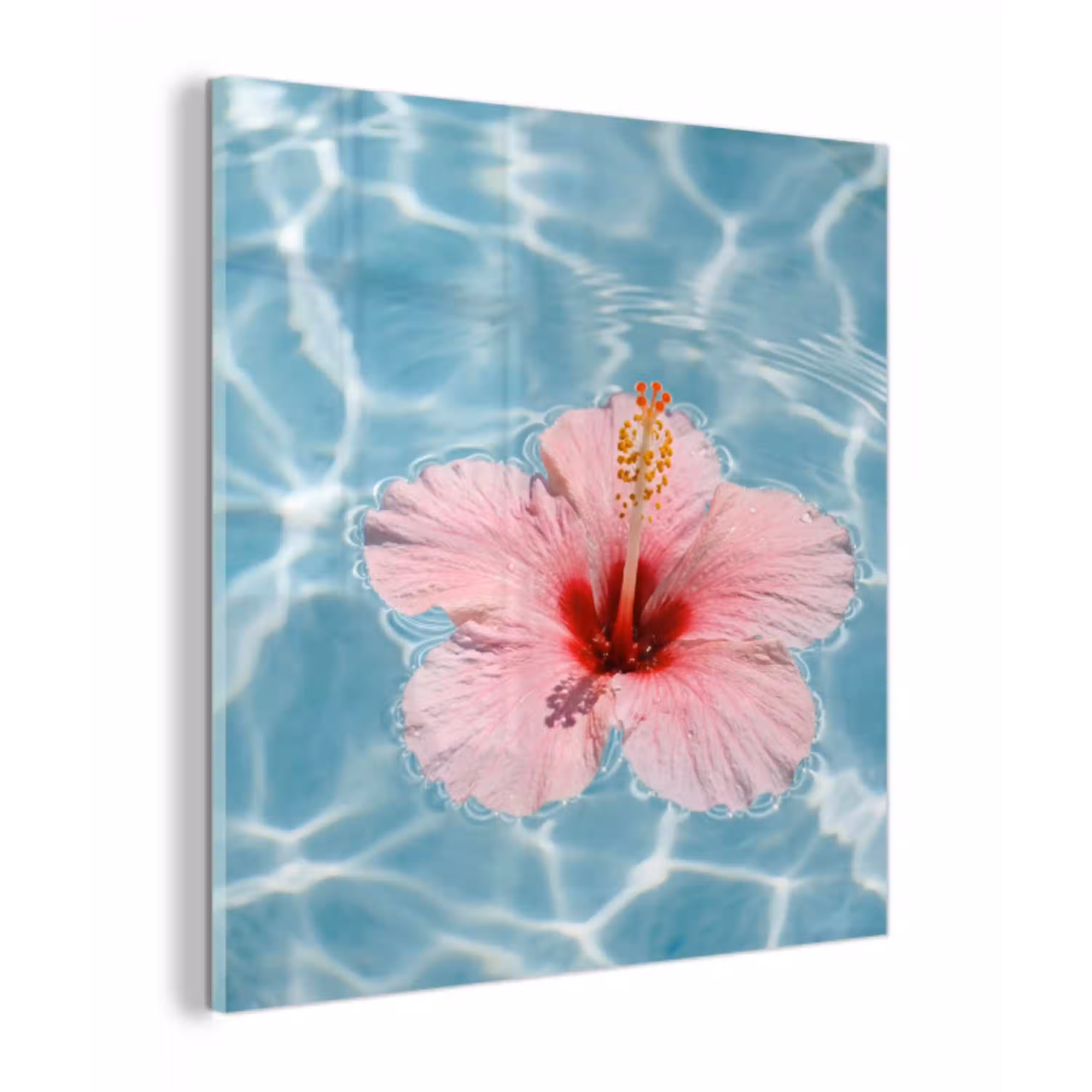 Hibiscus - Water - Roze plexiglas 5mm klein -z3d