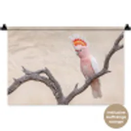Papagaai - Tak - Roze Wandkleed katoen klein -t3d_DE