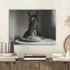 Paard - Bord - Pasta - Tafelkleed - Zwart Wit - Dieren PET vilt klein -sfeer1