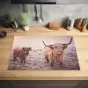 Schotse hooglanders - Licht - Lucht - Natuur Inductie beschermer vinyl 3mm klein -sfeer5