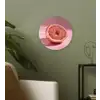 Grapefruit - Roze - Disco - Shiny Wandcirkel plexiglas klein -sfeer3