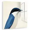 Illustratie - Blauw - Vogel plexiglas 5mm klein -zzzproduct_nieuw